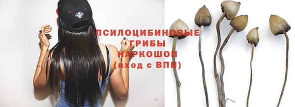 метадон Алексин